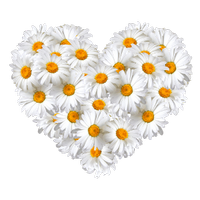 a summery floral heart